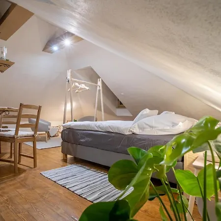 Apartmany Rodny Dom Deza Hoffmanna Banska Stiavnica Exterior photo
